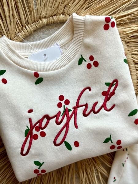 3 iplik kız çocuk kışlık joyful takım